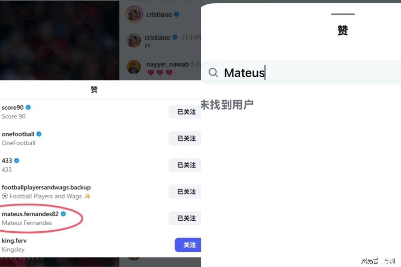 趣博相关图片