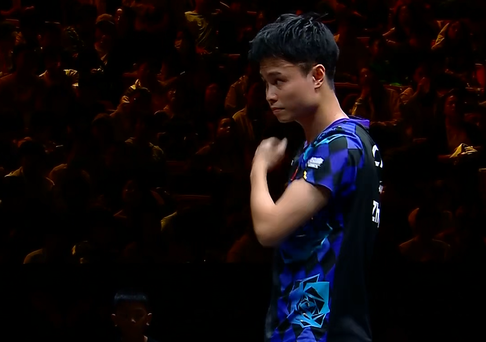 趣博相关图片